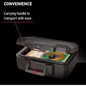 Sentry safe case